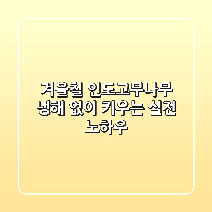 겨울철 인도고무나무, 냉해 없이 키우는 실전 노하우