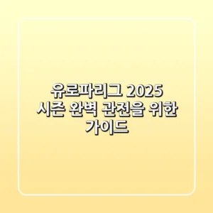 유로파리그, 2025 시즌 완벽 관전을 위한 가이드