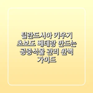 틸란드시아 키우기: 초보도 베테랑 만드는 공중식물 관리 완벽 가이드