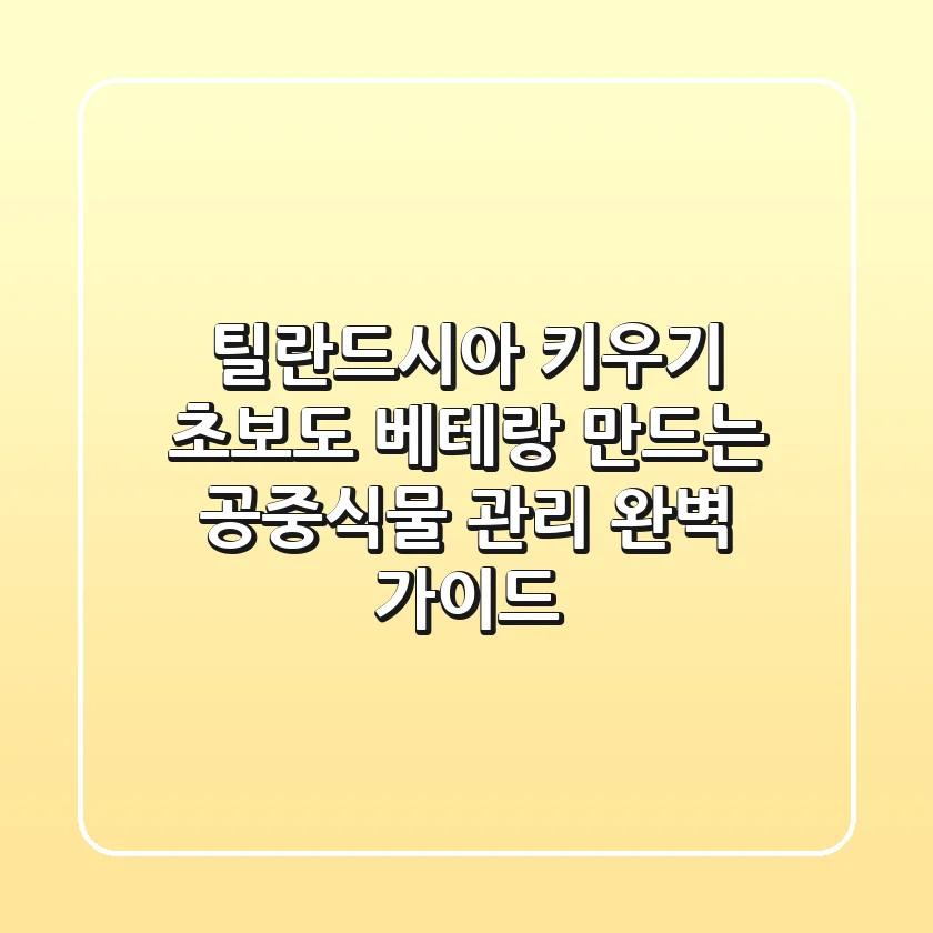 틸란드시아 키우기: 초보도 베테랑 만드는 공중식물 관리 완벽 가이드