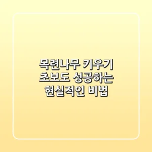 목련나무 키우기: 초보도 성공하는 현실적인 비법