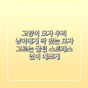 고양이 모자, 우리 냥이에게 딱 맞는 모자 고르는 꿀팁! (스트레스 없이 예쁘게)