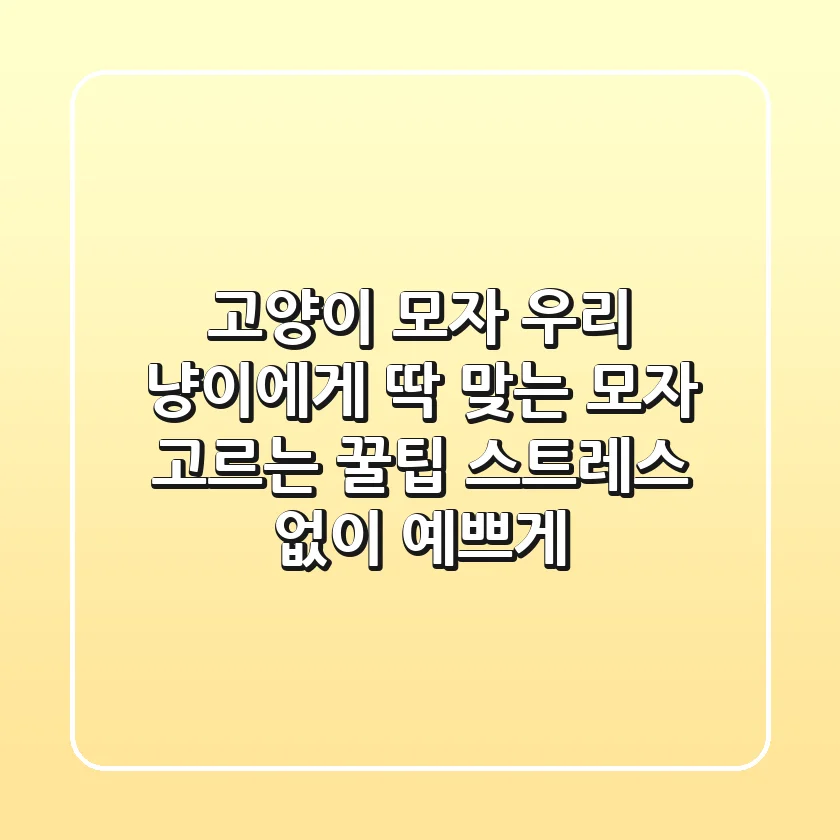 고양이 모자, 우리 냥이에게 딱 맞는 모자 고르는 꿀팁! (스트레스 없이 예쁘게)