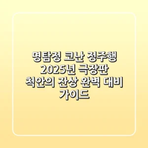 명탐정 코난 정주행, 2025년 극장판 '척안의 잔상' 완벽 대비 가이드