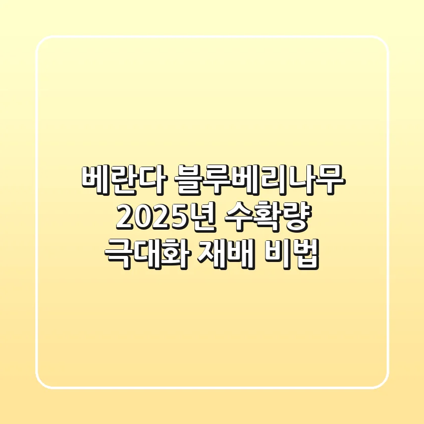 베란다 블루베리나무, 2025년 수확량 극대화 재배 비법