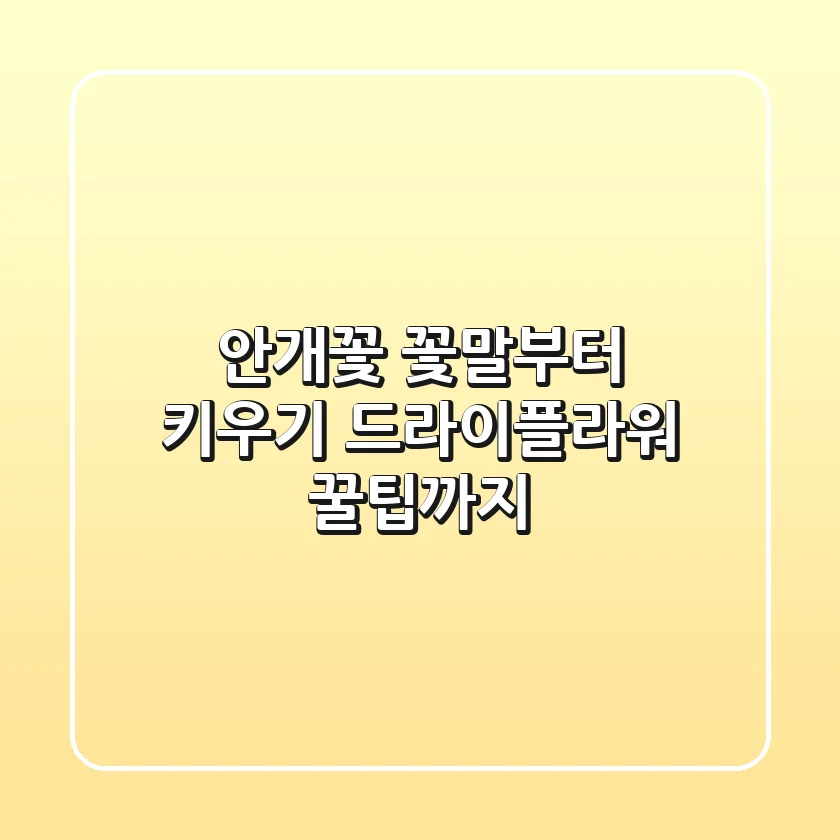 안개꽃, 꽃말부터 키우기, 드라이플라워 꿀팁까지