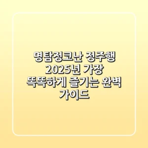 명탐정코난 정주행, 2025년 가장 똑똑하게 즐기는 완벽 가이드