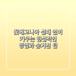 꽃베고니아, 실패 없이 키우는 현실적인 방법과 숨겨진 팁