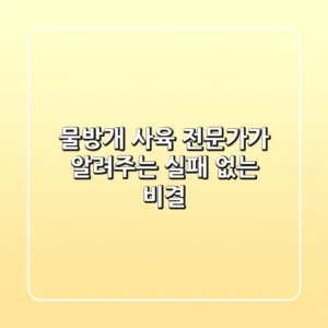 물방개 사육, 전문가가 알려주는 실패 없는 비결!