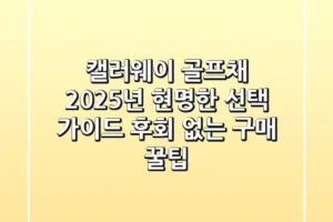 캘러웨이 골프채, 2025년 현명한 선택 가이드 (후회 없는 구매 꿀팁)