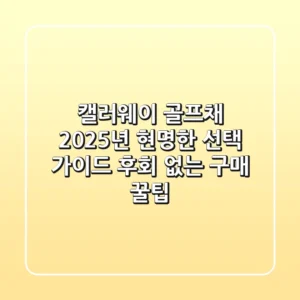 캘러웨이 골프채, 2025년 현명한 선택 가이드 (후회 없는 구매 꿀팁)