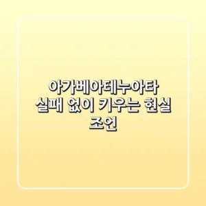 아가베아테누아타, 실패 없이 키우는 현실 조언