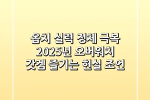 옵치 실력 정체 극복! 2025년 오버워치 갓겜 즐기는 현실 조언