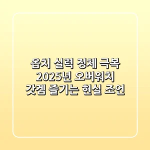 옵치 실력 정체 극복! 2025년 오버워치 갓겜 즐기는 현실 조언