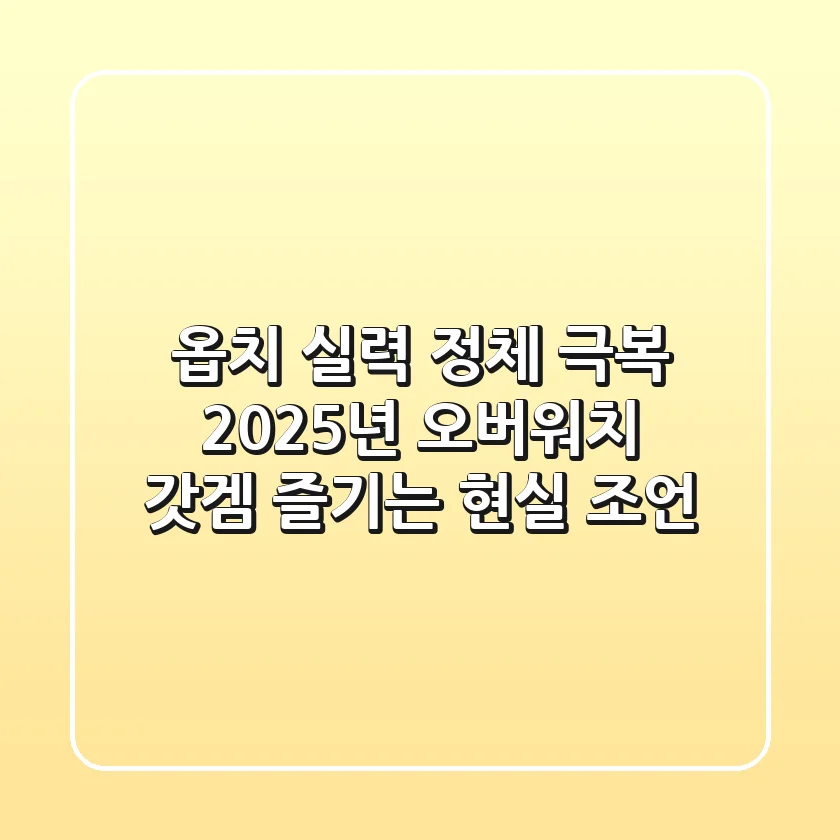 옵치 실력 정체 극복! 2025년 오버워치 갓겜 즐기는 현실 조언