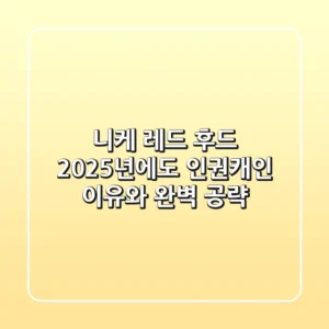 니케 레드 후드: 2025년에도 '인권캐'인 이유와 완벽 공략
