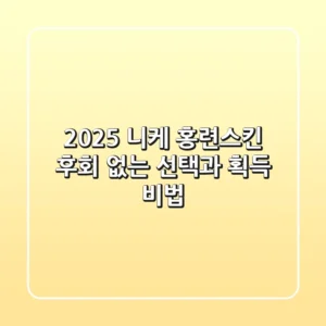 2025 니케 홍련스킨: 후회 없는 선택과 획득 비법