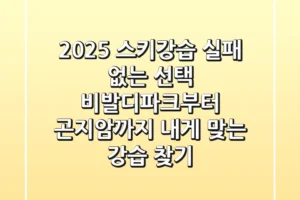 2025 스키강습, 실패 없는 선택! 비발디파크부터 곤지암까지 내게 맞는 강습 찾기