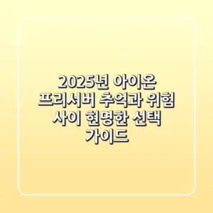 2025년 아이온 프리서버, 추억과 위험 사이 현명한 선택 가이드