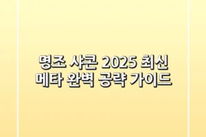 명조 샤콘, 2025 최신 메타 완벽 공략 가이드