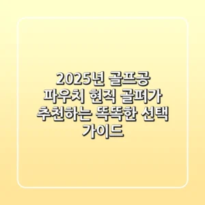 2025년 골프공 파우치, 현직 골퍼가 추천하는 똑똑한 선택 가이드