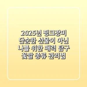 2025년 핑크장미, 단순한 선물이 아닌 '나'를 위한 매력 탐구 (꽃말, 종류, 관리법)