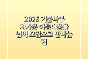 2025 겨울나무, 차가운 아름다움을 넘어: 오감으로 만나는 법