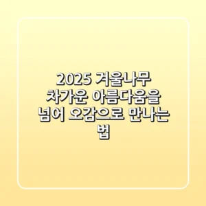 2025 겨울나무, 차가운 아름다움을 넘어: 오감으로 만나는 법