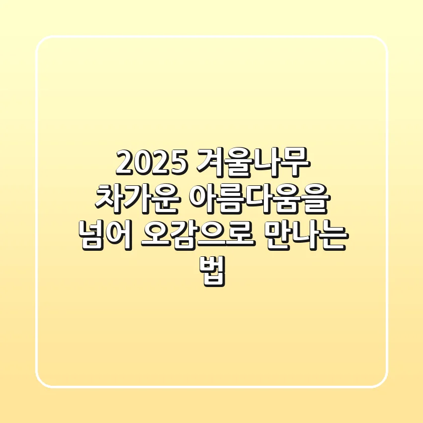 2025 겨울나무, 차가운 아름다움을 넘어: 오감으로 만나는 법
