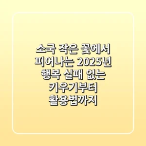 소국, 작은 꽃에서 피어나는 2025년 행복: 실패 없는 키우기부터 활용법까지