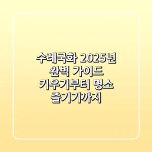 수레국화, 2025년 완벽 가이드: 키우기부터 명소 즐기기까지