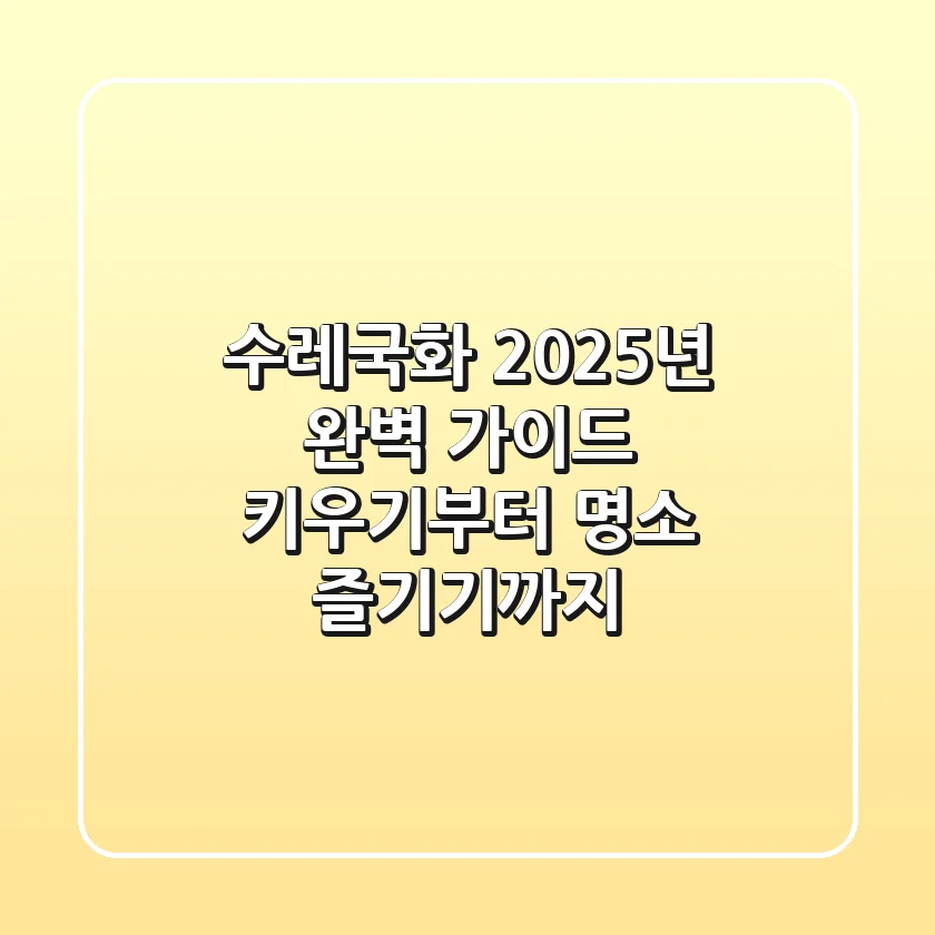 수레국화, 2025년 완벽 가이드: 키우기부터 명소 즐기기까지